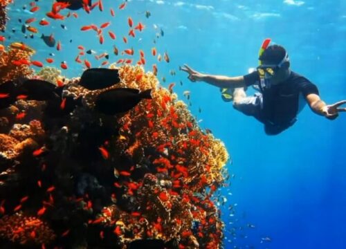 Sharm El Naga Tagesschnorcheln